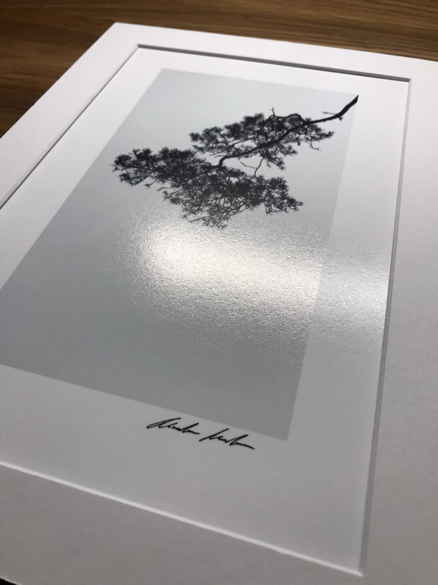Zen 7