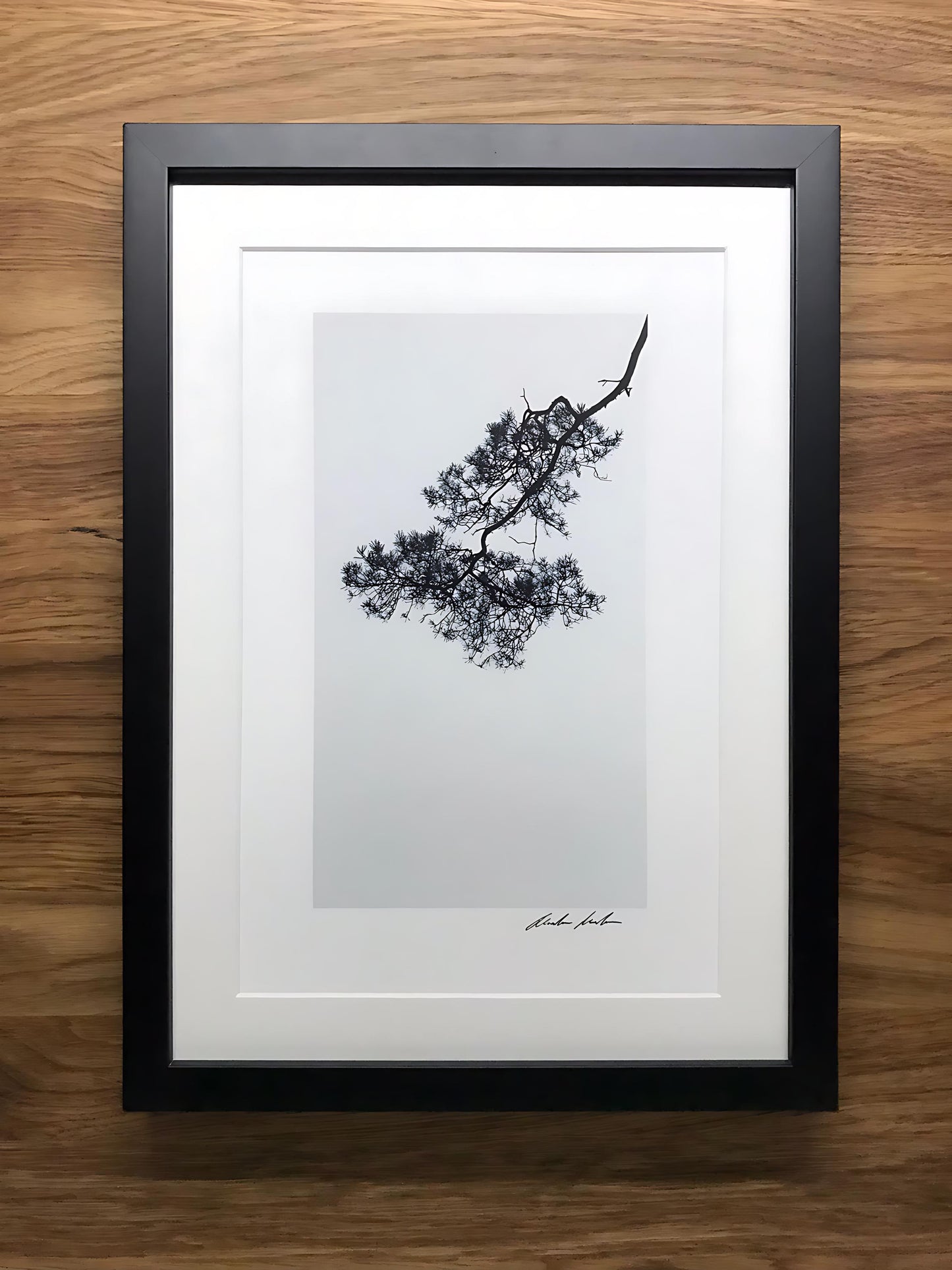 Zen 7