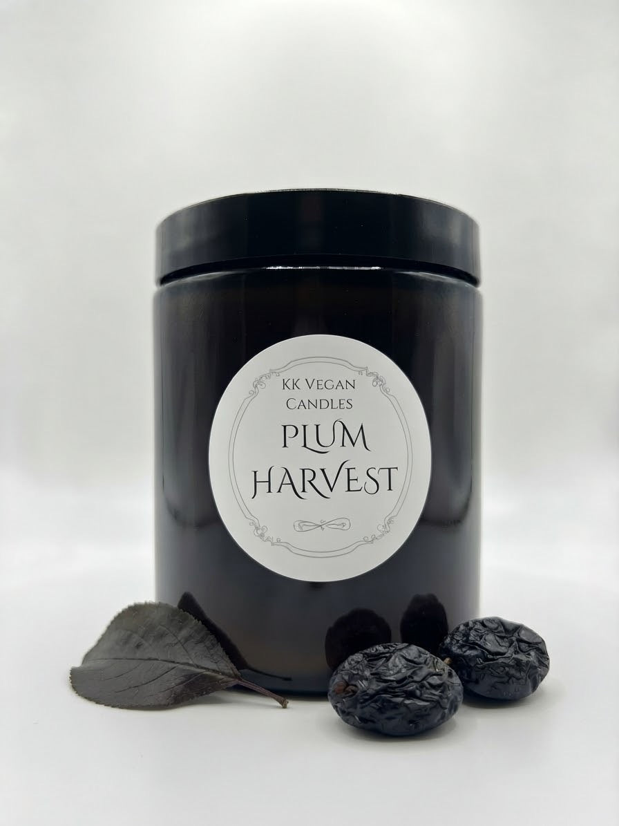 RÉCOLTE DES PRUNES