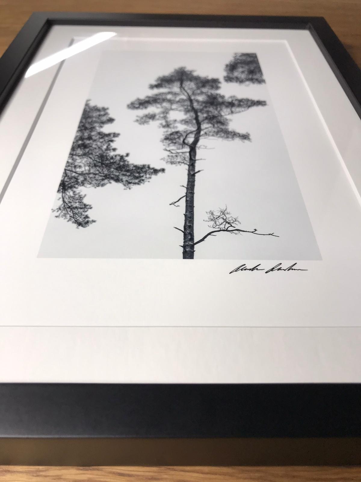 Zen 3