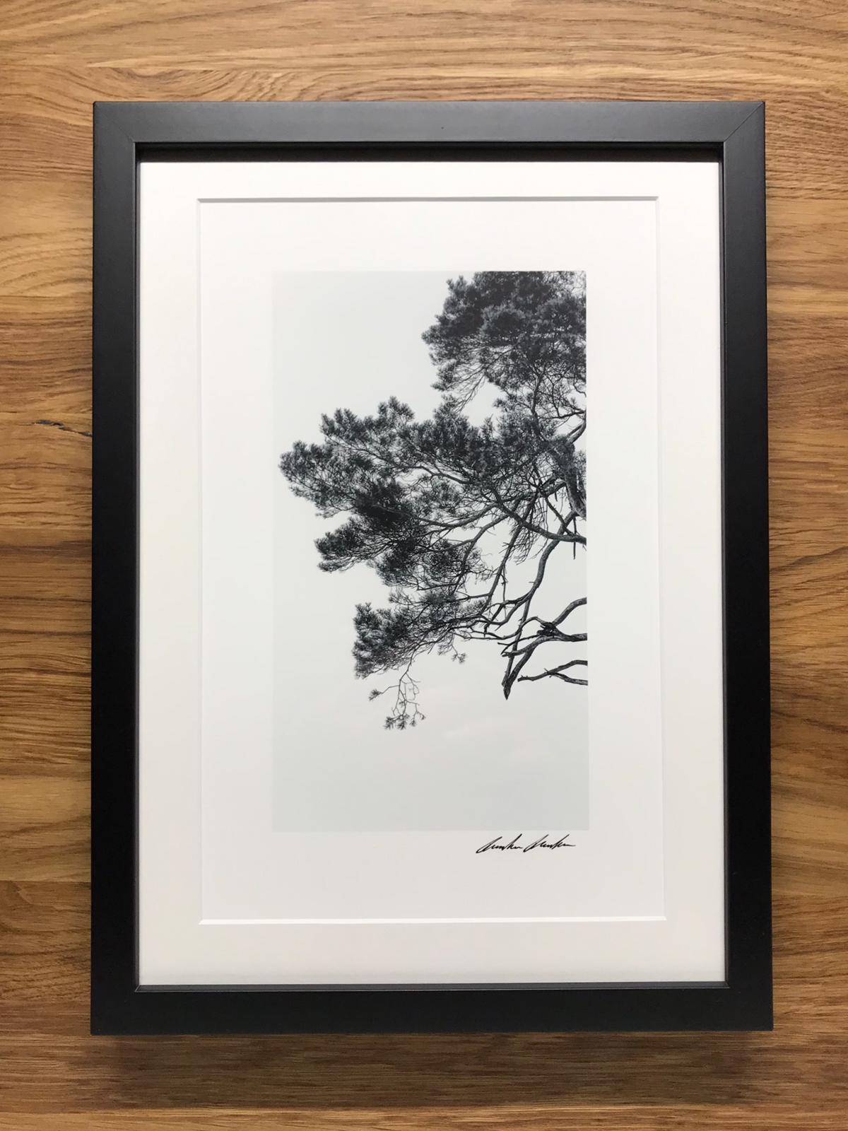 Zen 4