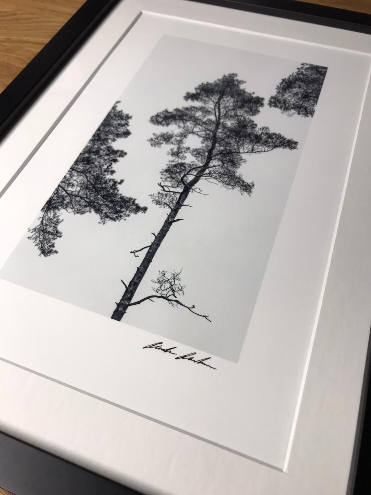 Zen 3