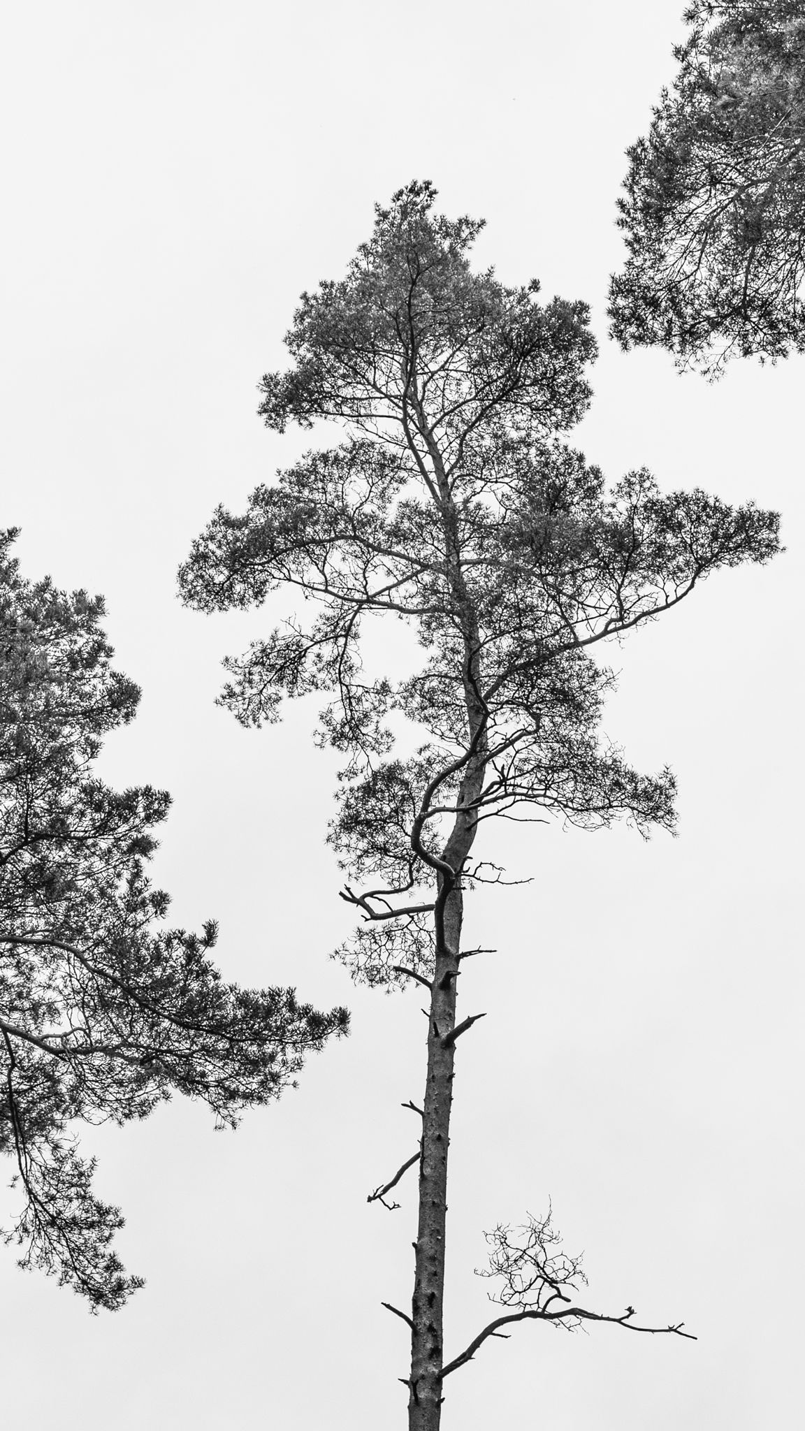 Zen 3